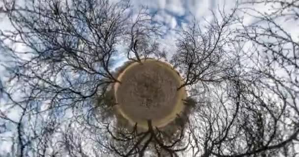 Kroucení Rotace Malé Planety Pokřivenými Větvemi Stromů Šedé Obloze Smyčkové — Stock video
