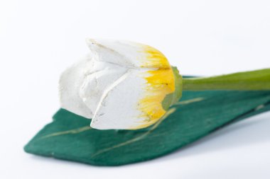 yalıtılmış bir beyaz arka plan üzerinde beyaz çiçek