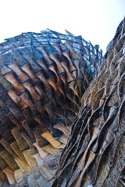 shanghai Fuarı 2010