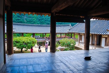 Kore yaz. Orman tapınakta