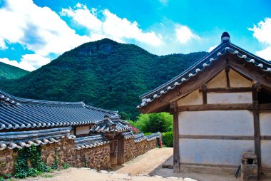 Kore yaz. Orman tapınakta