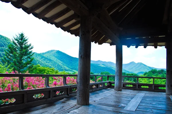 Koreanska sommaren. templet i skogen — Stockfoto