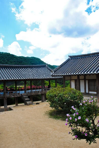 Verão coreano. Templo na floresta — Fotografia de Stock