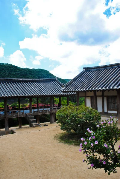 Korean summer. Temple in the forest — Stock Photo, Image