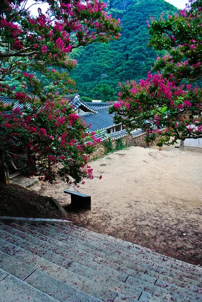 Korejský léto. chrám v lese — Stock fotografie zdarma