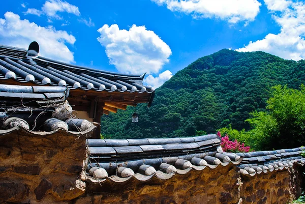 Koreanska sommaren. templet i skogen — Stockfoto