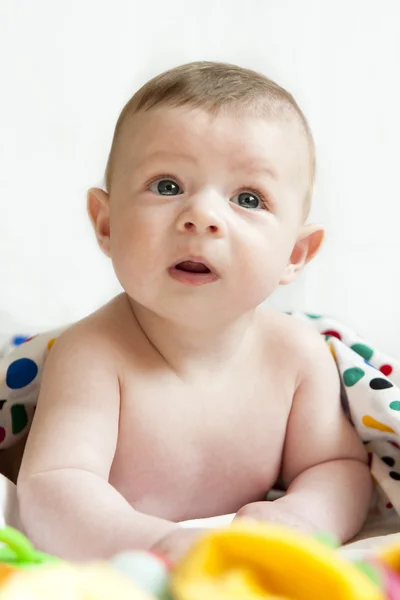 Portrait of a five month old baby. — Stock Photo, Image