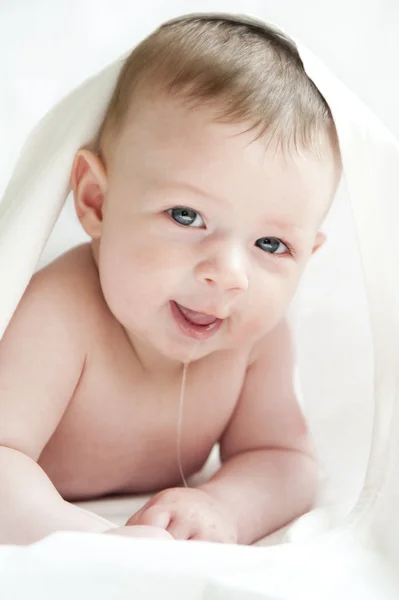 Portrait of a five month old baby. — Stock Photo, Image