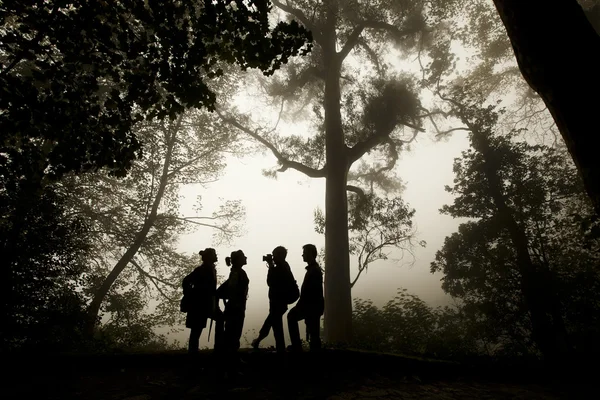 Grupa ludzi sylwetka w Mglisty las. — Zdjęcie stockowe