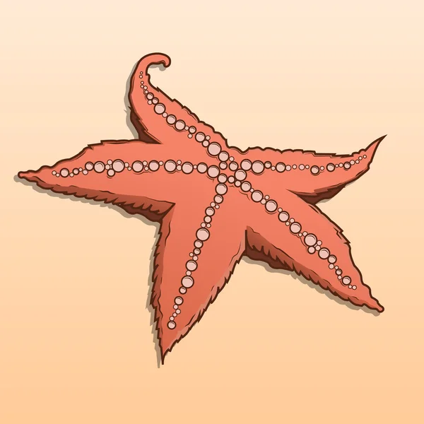 Estrella de mar de color detallado aislado sobre fondo beige. Estrella marina. Ilustración vectorial . — Vector de stock