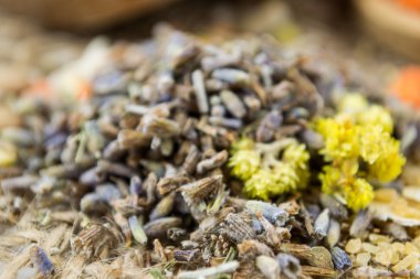 Dried lavender with yellow flowers