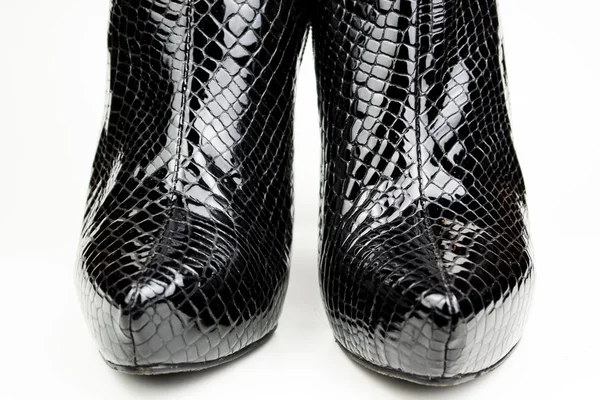 Black female crocodile boots isolated on white — Zdjęcie stockowe