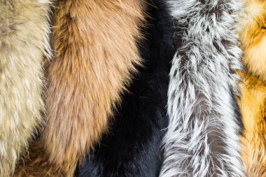 kürk kumaş, arka plan malzeme çeşitli