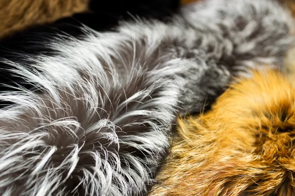 Several types of fur fabric, background material — Stock Photo, Image
