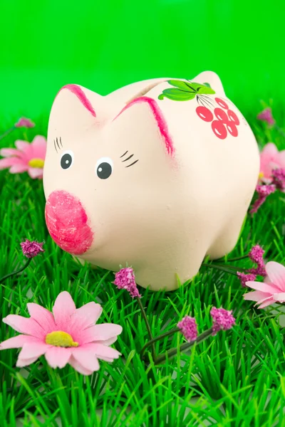 Piggy moneybox en la hierba — Foto de Stock
