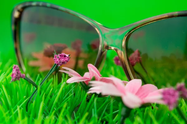 Glasses on green grass — Stock Photo, Image