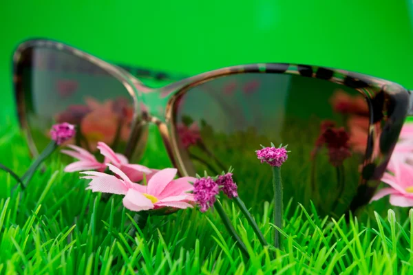 Glasses on green grass — Stock Photo, Image