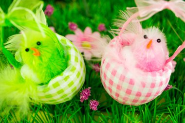 tavuk ile Paskalya kompozisyon