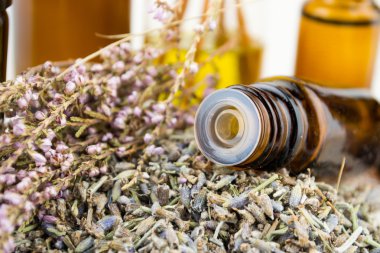 temel yağ ve lavanta çiçekleri