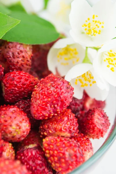 Wilde aardbeien in een plaat met jasmijn — Stockfoto