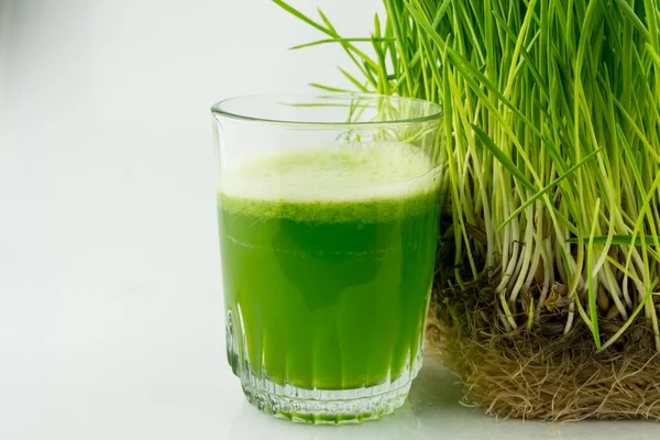 Zumo de hierba de trigo ecológico verde listo para beber — Foto de Stock