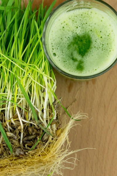 Зеленый органический пшеничный травяной сок готов к употреблению — стоковое фото