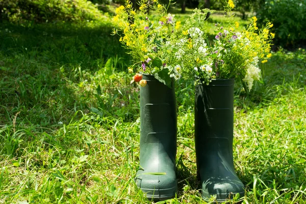 Bota květináč v zahradě — Stock fotografie