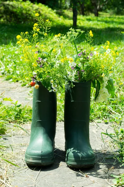 Boot Flowerpot in garden — Stockfoto