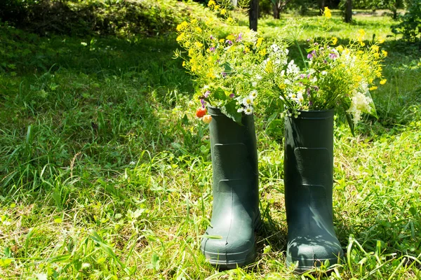 Boot Flowerpot in garden — Stok fotoğraf