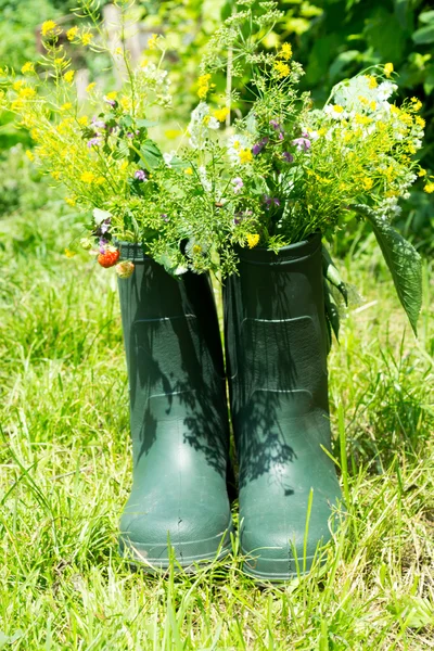 Boot vaso da fiori in giardino — Foto Stock