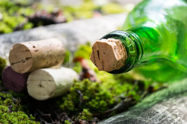 Garrafa de vinho e uvas jovens no fundo da natureza — Fotografia de Stock