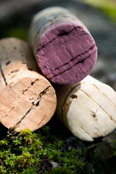 Wine corks and young grapes on nature background — Stock Photo, Image