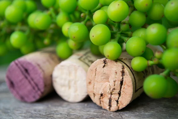 Rolhas de vinho e uvas jovens no fundo da natureza — Fotografia de Stock