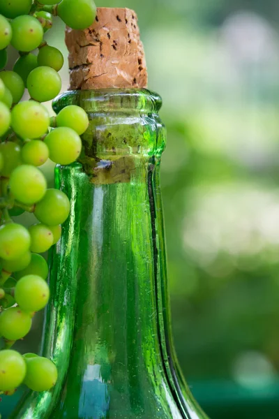 Vinflaska och unga druvor på natur bakgrund — Stockfoto