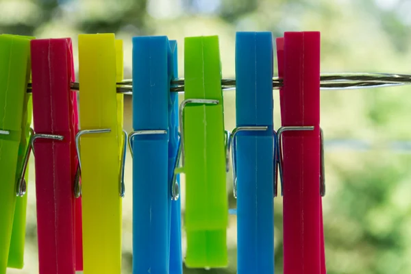 Gekleurde wasknijpers in tuin — Stockfoto
