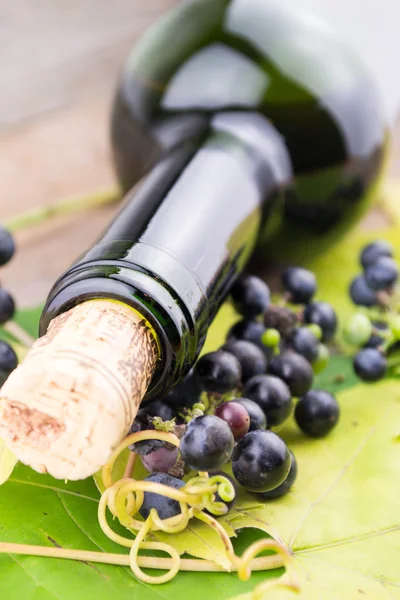 Garrafa de vinho e um monte de uvas — Fotografia de Stock
