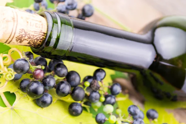 Vinflaska och massa druvor — Stockfoto