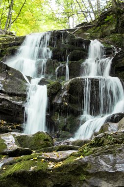 Orman şelale ve yosun kaplı kaya