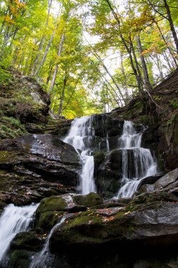 Orman şelale ve yosun kaplı kaya