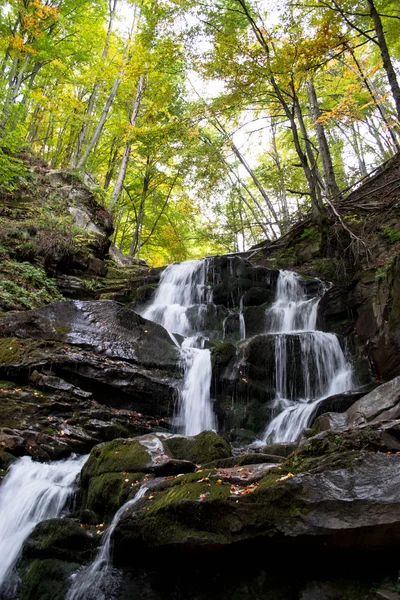 Orman şelale ve yosun kaplı kaya