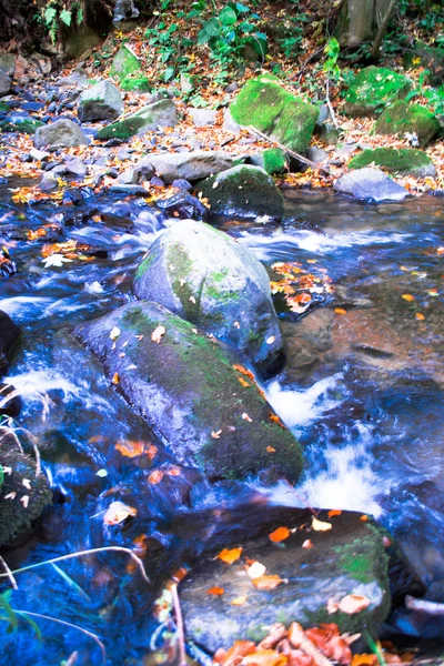 Orman şelale ve yosun kaplı kaya — Stok fotoğraf