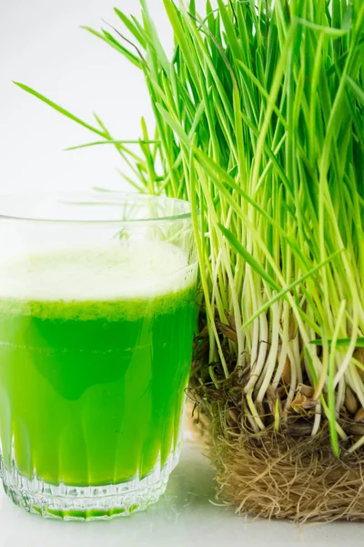 Yeşil organik buğday çimen suyu içmek hazır - Stok İmaj