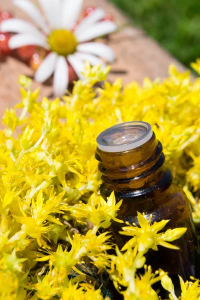 Óleo essencial com flores amarelas — Fotografia de Stock