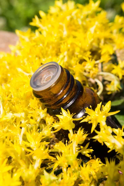 Óleo essencial com flores amarelas — Fotografia de Stock