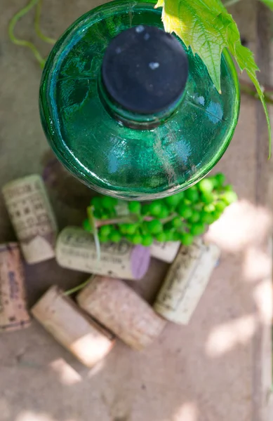 Weißweinflasche, junge Rebe im Garten — Stockfoto
