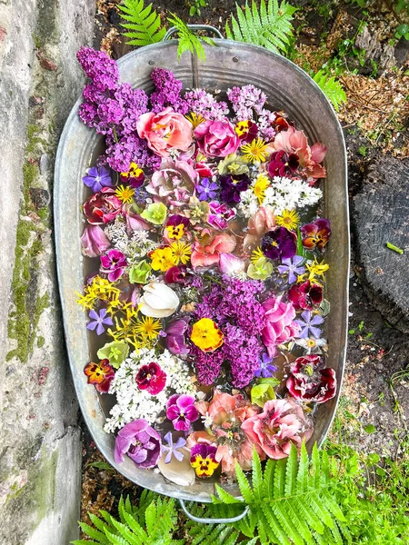 Rustik Tin Tub Many Colored Flowers Garden Ideas — Stockfoto