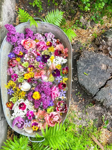 Vasca Latta Rustik Con Molti Fiori Colorati Idee Giardino — Foto Stock