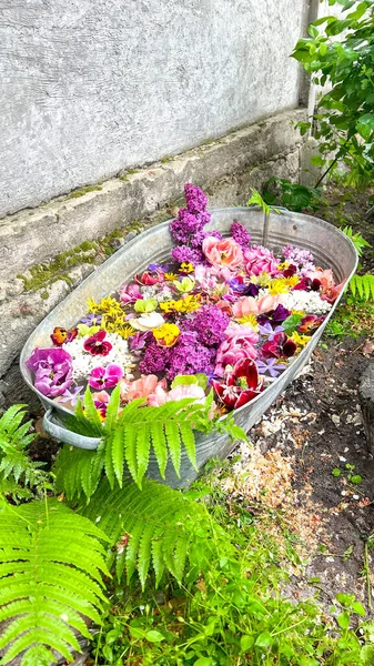 Rustik Tin Tub Many Colored Flowers Garden Ideas — Stockfoto