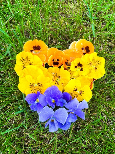 Heart Made Blue Yellow Flowers Colors National Ukrainian Flag War — Stock Photo, Image