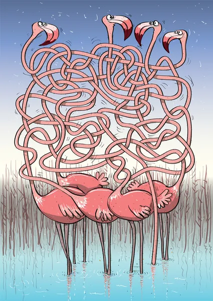 Cinq Flamingos Labyrinthe Jeu — Image vectorielle